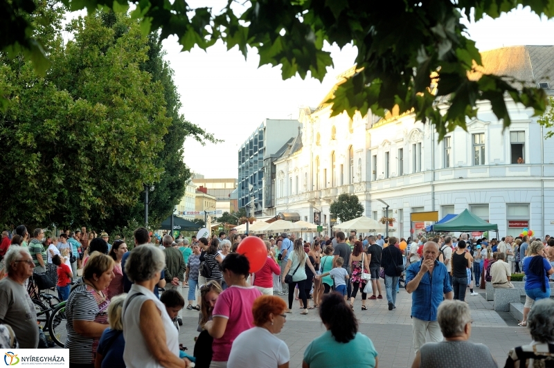 VIDOR 2016 - első esti koncert