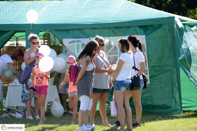 Egészségnap, úszó alkalmatlanságok Örökösföldön