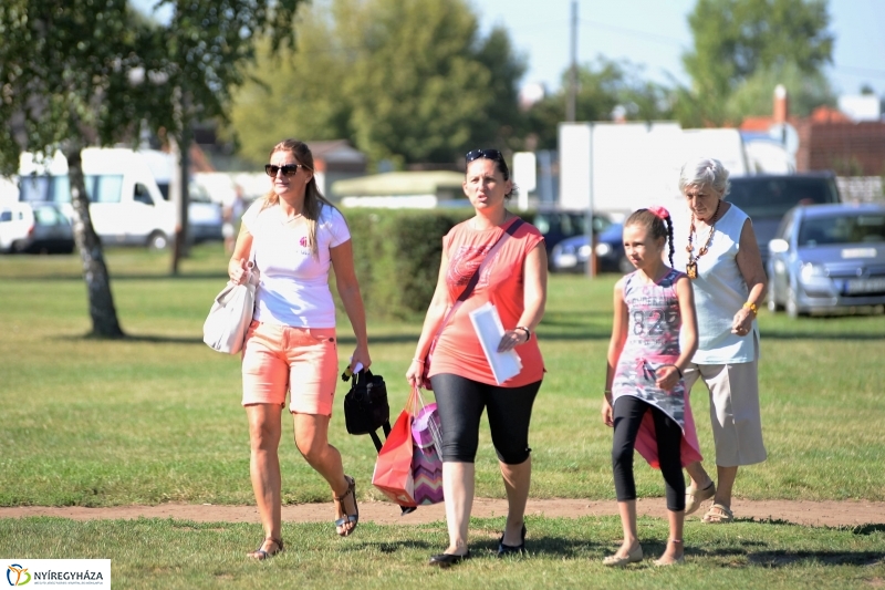 Egészségnap, úszó alkalmatlanságok Örökösföldön
