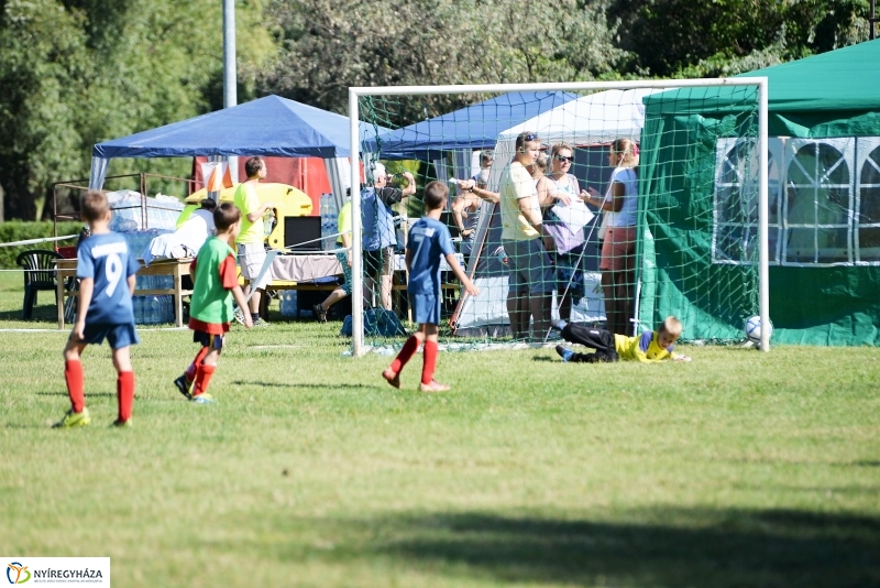 Egészségnap, úszó alkalmatlanságok Örökösföldön