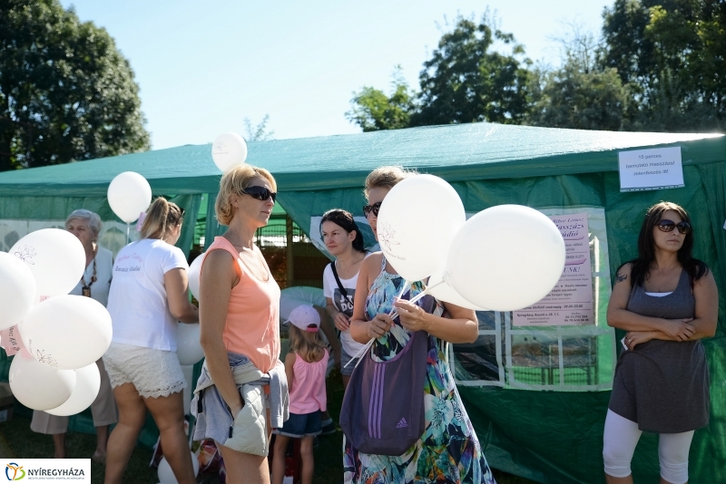 Egészségnap, úszó alkalmatlanságok Örökösföldön