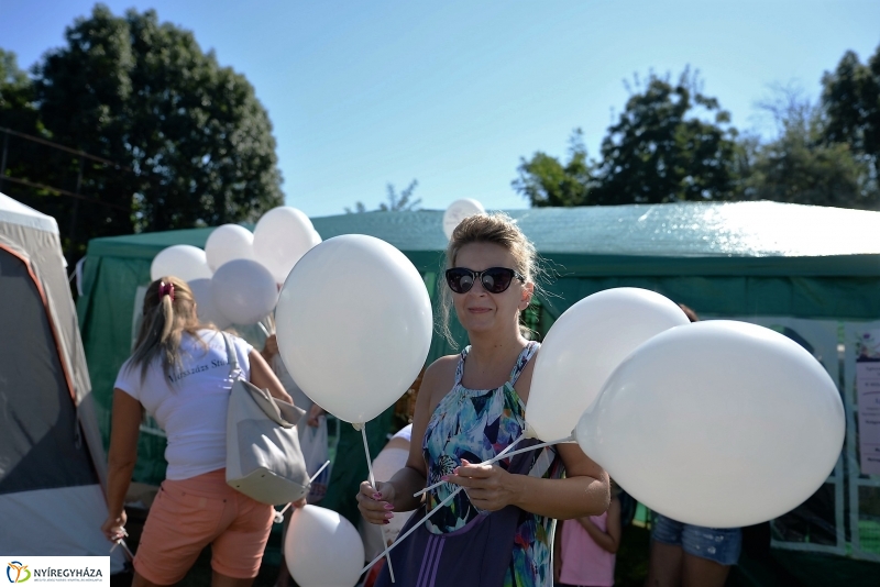 Egészségnap, úszó alkalmatlanságok Örökösföldön