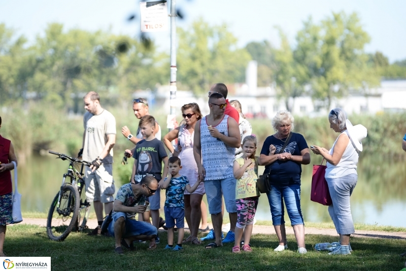 Egészségnap, úszó alkalmatlanságok Örökösföldön