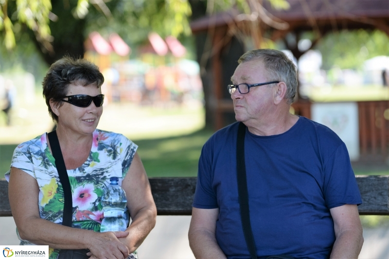 Egészségnap, úszó alkalmatlanságok Örökösföldön