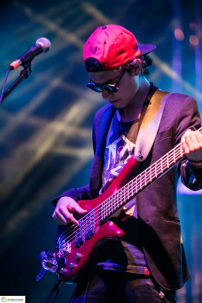 Los de Abajo koncert – Janics Attila fotói