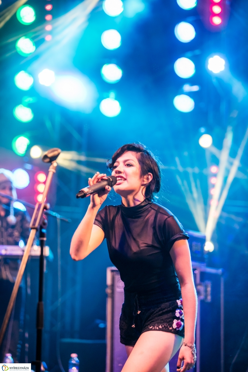 Los de Abajo koncert – Janics Attila fotói