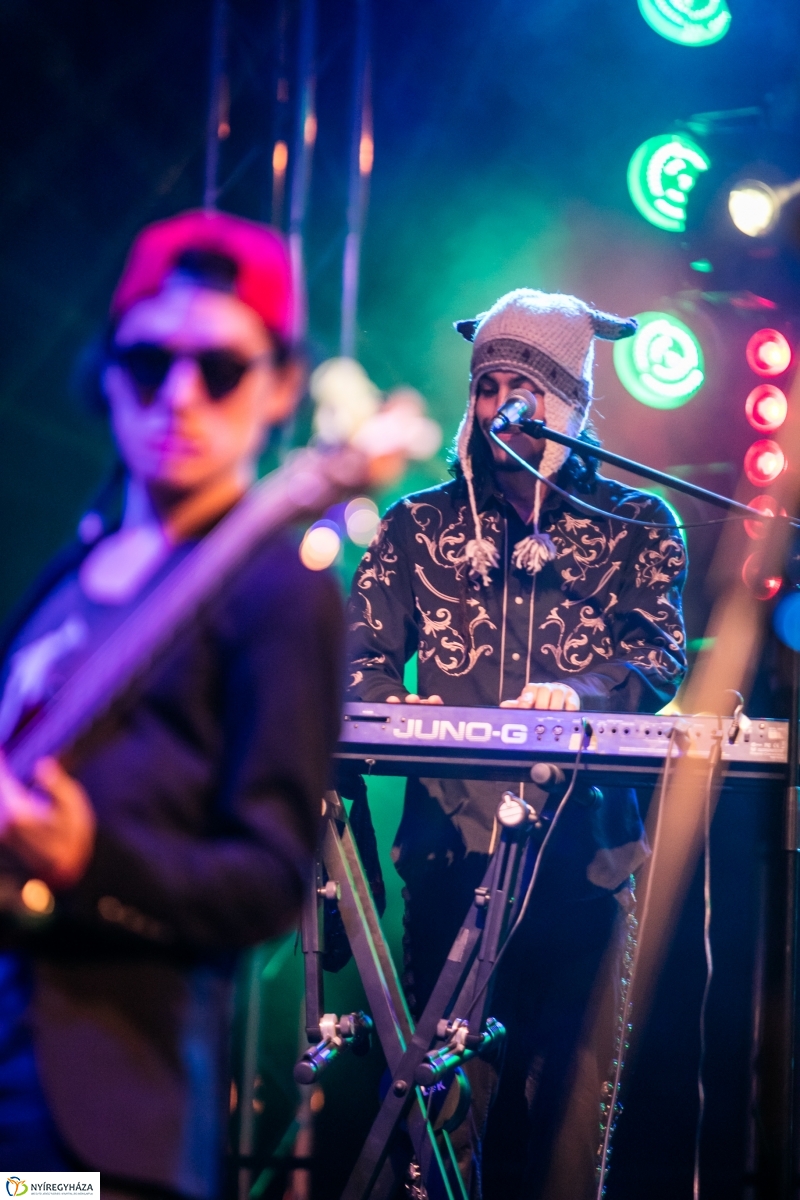 Los de Abajo koncert – Janics Attila fotói