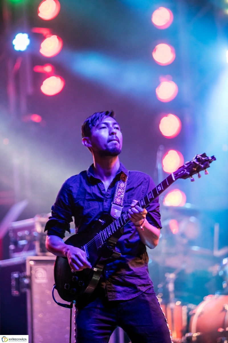 Los de Abajo koncert – Janics Attila fotói