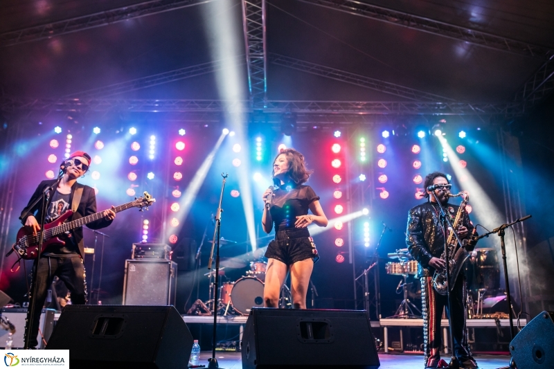 Los de Abajo koncert – Janics Attila fotói