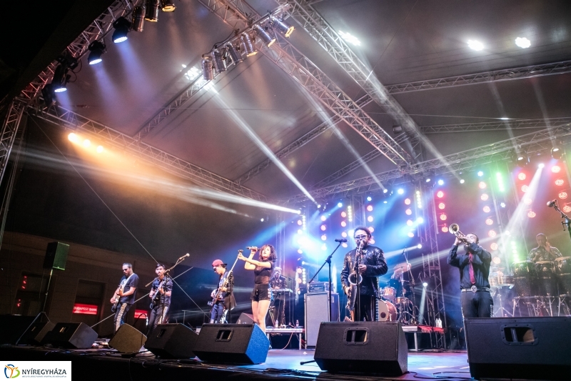 Los de Abajo koncert – Janics Attila fotói