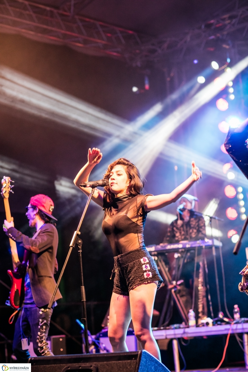 Los de Abajo koncert – Janics Attila fotói