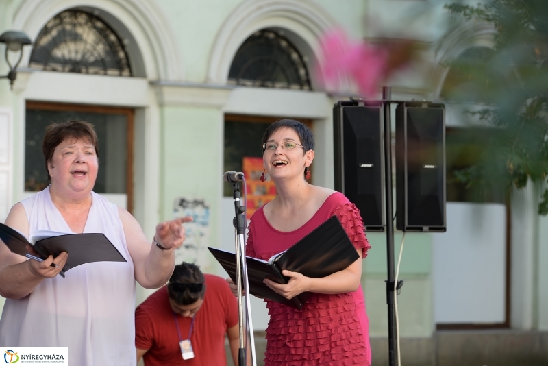 Vidor-vasárnap délután a belvárosban