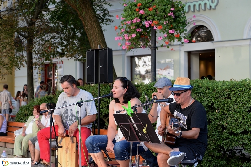 Vidor-vasárnap délután a belvárosban
