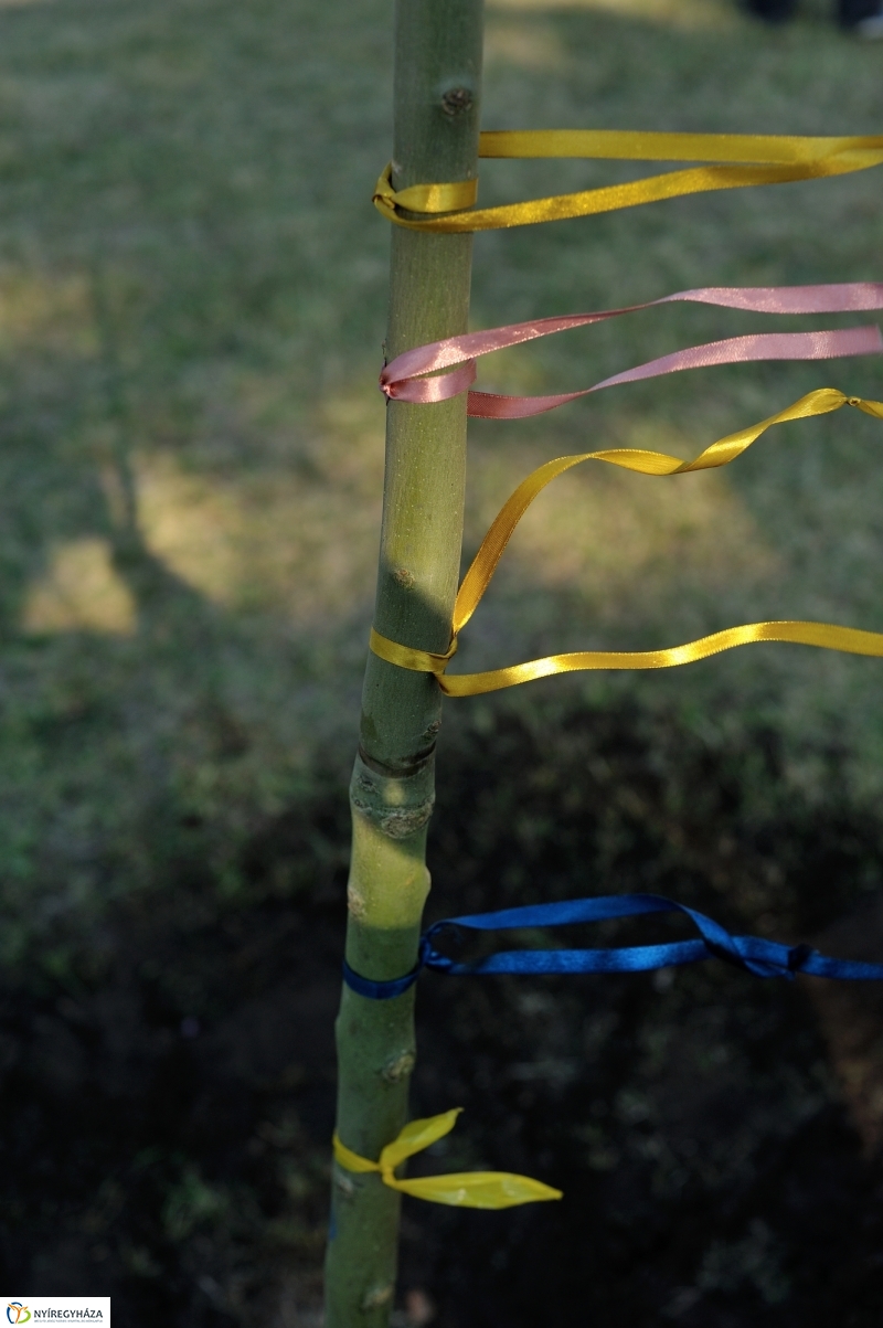 Emlékfa ültetés a Vidor ligetben