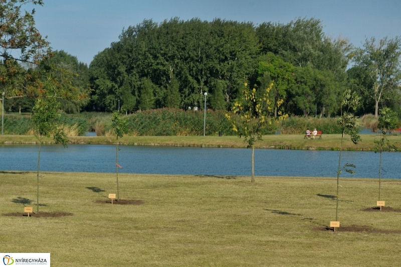 Emlékfa ültetés a Vidor ligetben