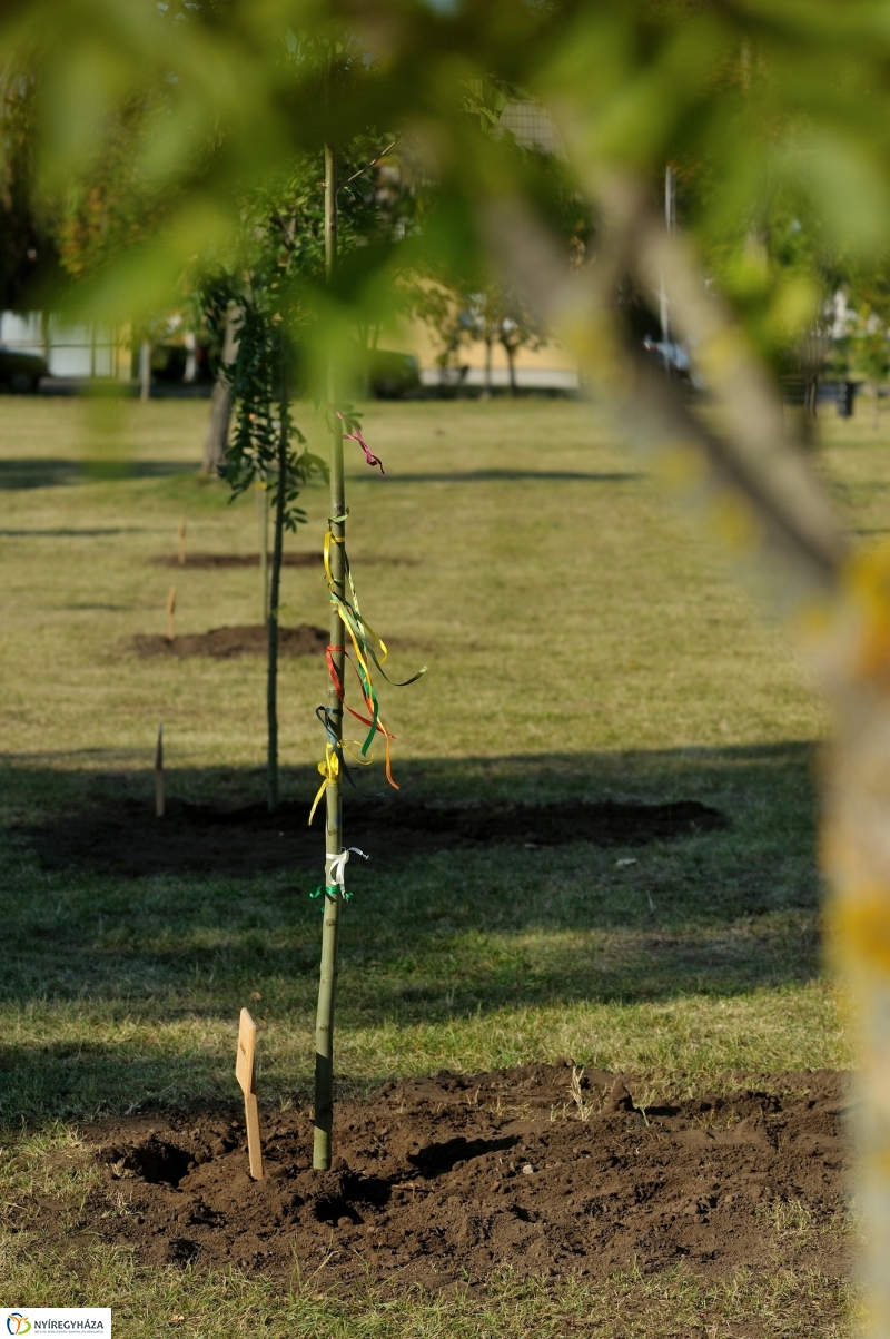 Emlékfa ültetés a Vidor ligetben