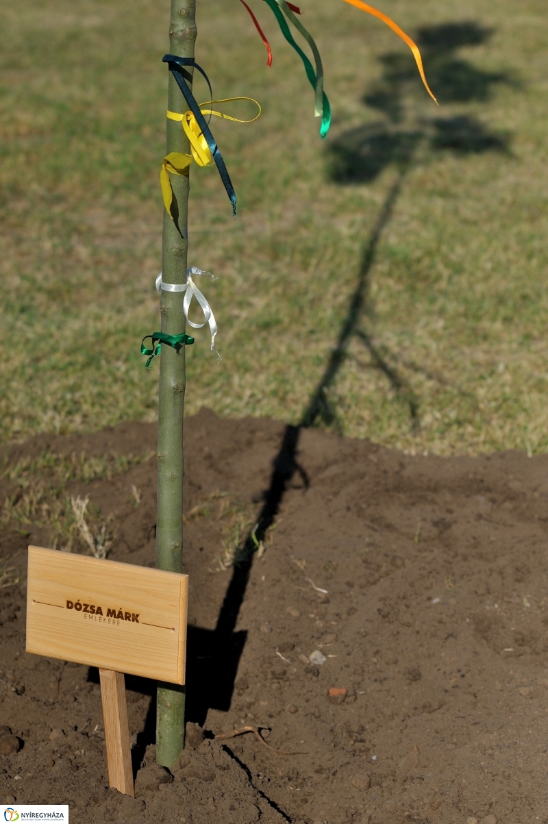 Emlékfa ültetés a Vidor ligetben