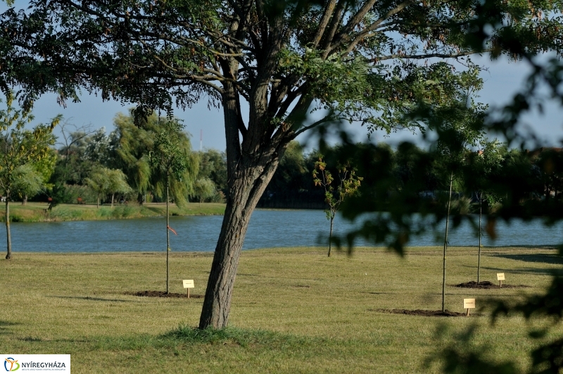 Emlékfa ültetés a Vidor ligetben
