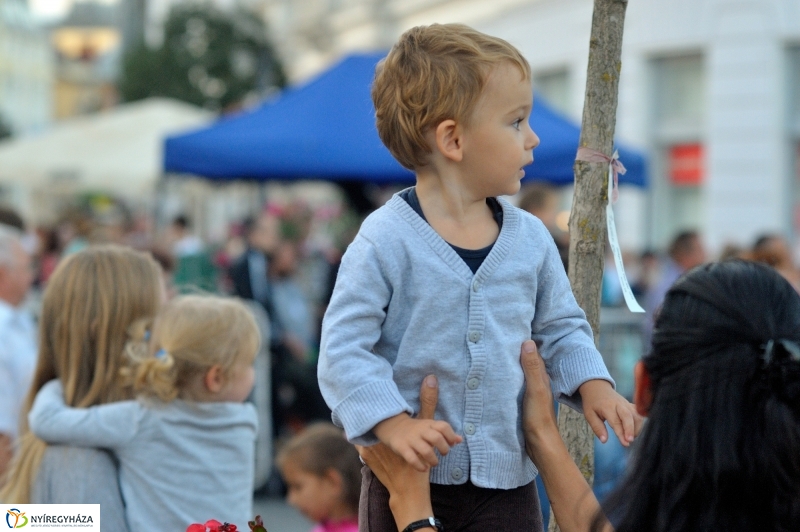 VIDOR 2016 - Bohemian Betyars koncert