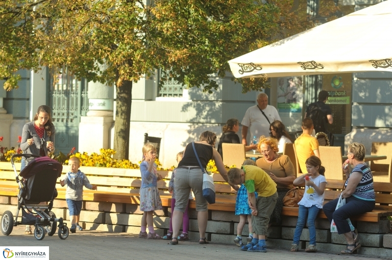 VIDOR 2016 - ötödik nap pillanatai