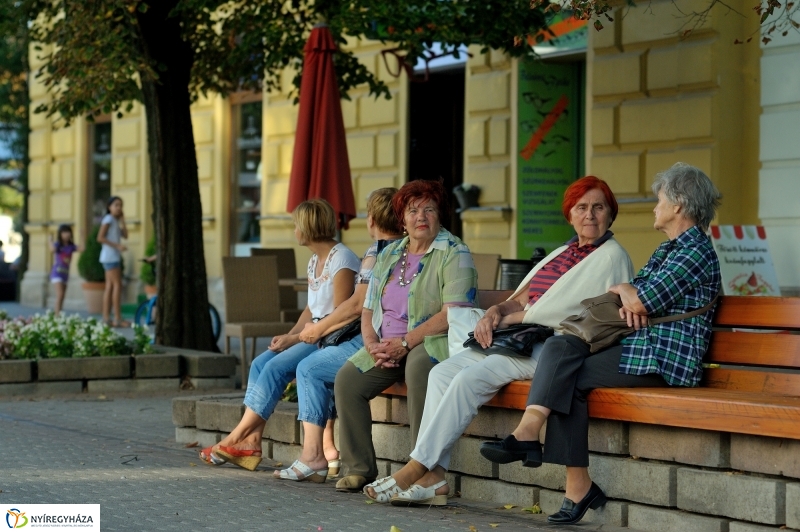 VIDOR 2016 - ötödik nap pillanatai