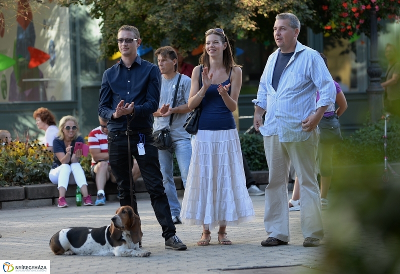 VIDOR szerda a belvárosban