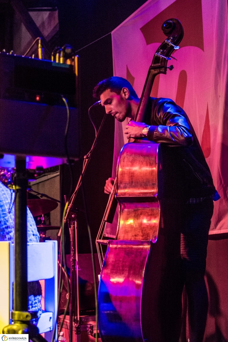 Palya Bea a Móricz Kertben