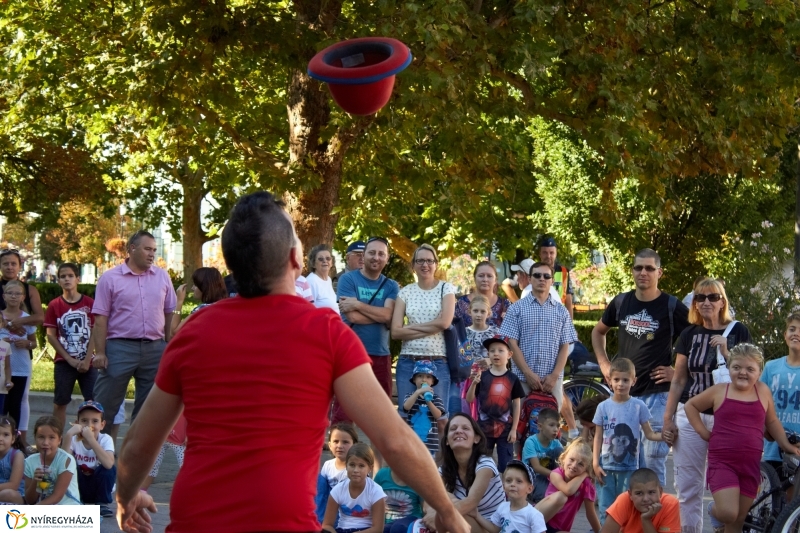 VIDOR 2016 - hetedik nap pillanatai