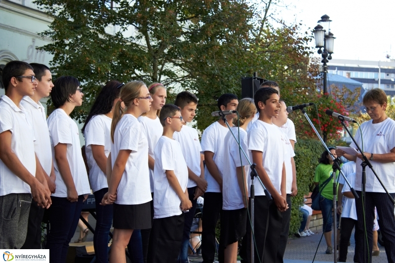 VIDOR 2016 - hetedik nap pillanatai