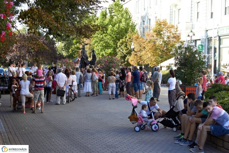 VIDOR 2016 - hetedik nap pillanatai