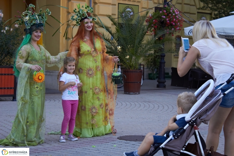 VIDOR 2016 - hetedik nap pillanatai