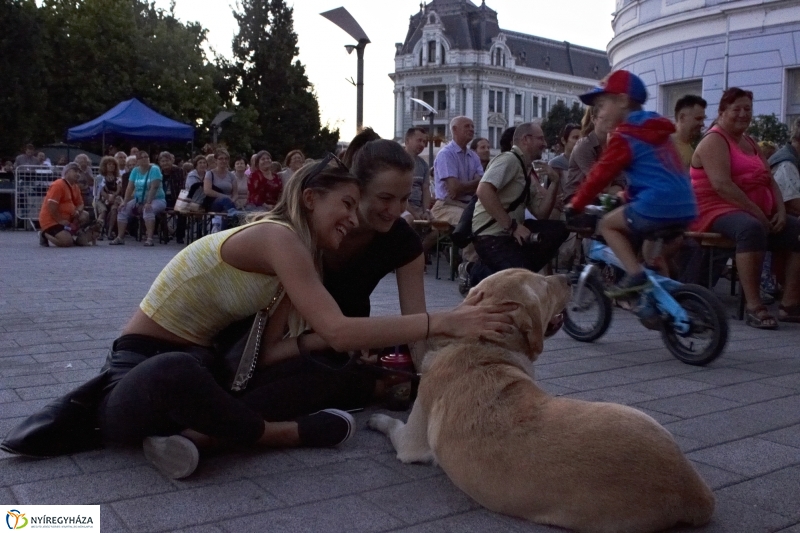 VIDOR 2016 - Jónás Vera