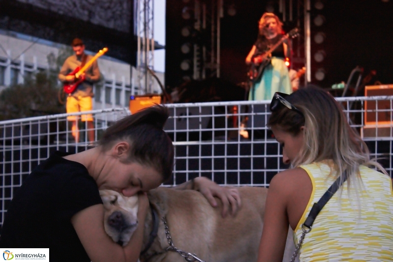 VIDOR 2016 - Jónás Vera