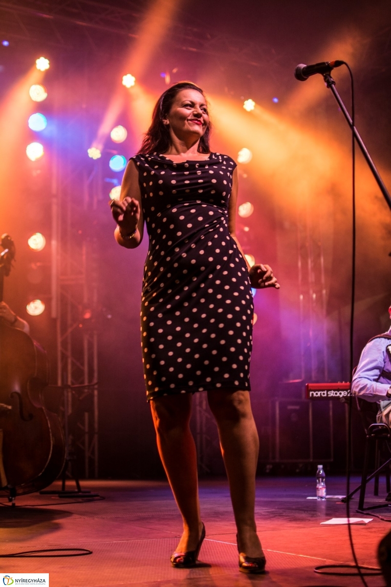 Budapest Bár koncert a VIDOR Fesztiválon