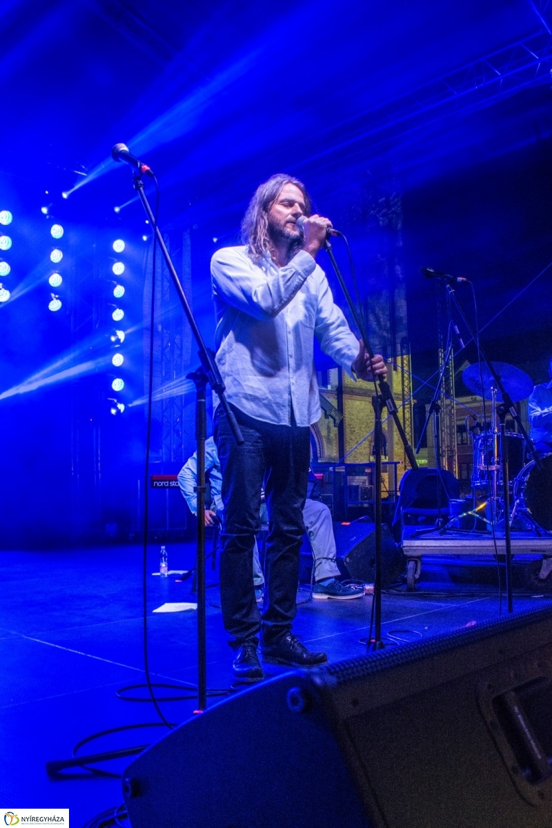 Budapest Bár koncert a VIDOR Fesztiválon