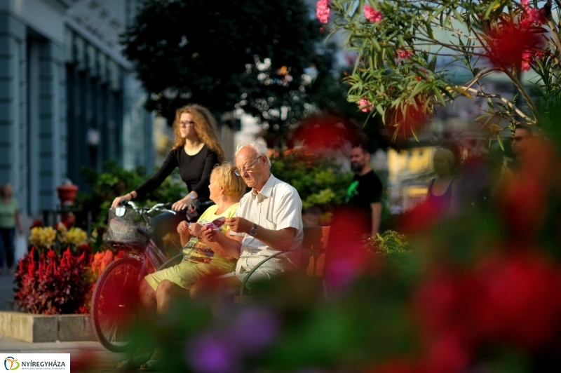 VIDOR 2016 - nyolcadik nap