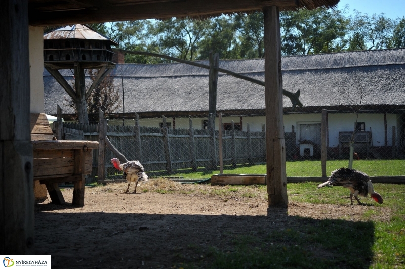 Gasztronómiai Fesztivál beharangozó - fotó Szarka Lajos