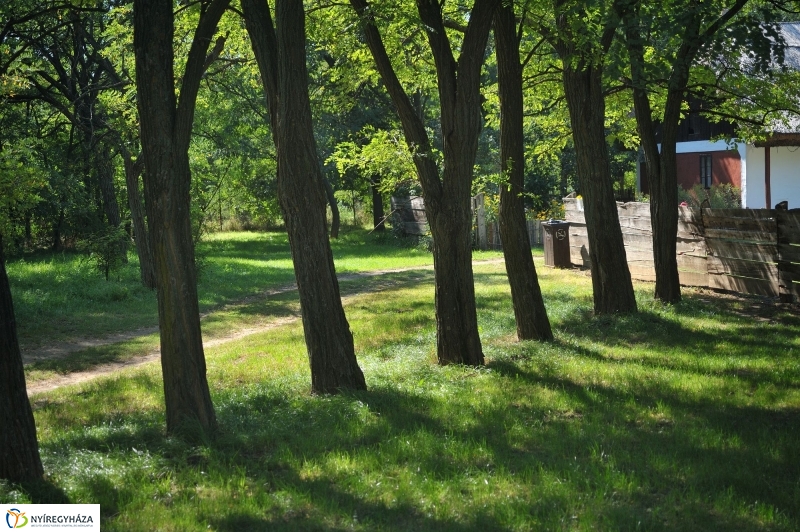 Gasztronómiai Fesztivál beharangozó - fotó Szarka Lajos