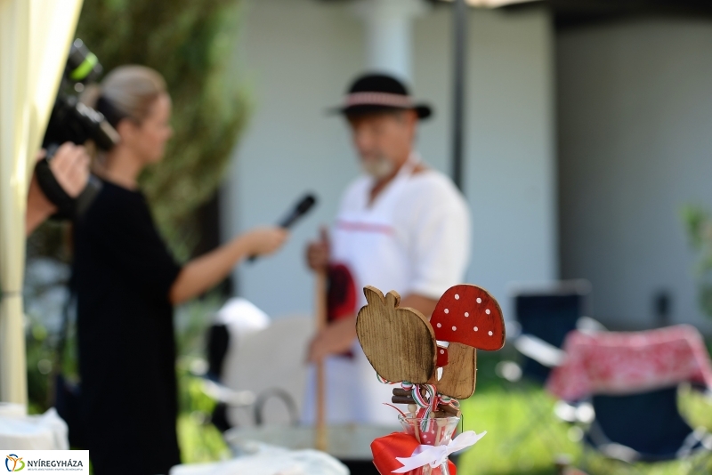 A Régi Magyarország Ízei-gasztronómiai fesztivál a múzeumfauban