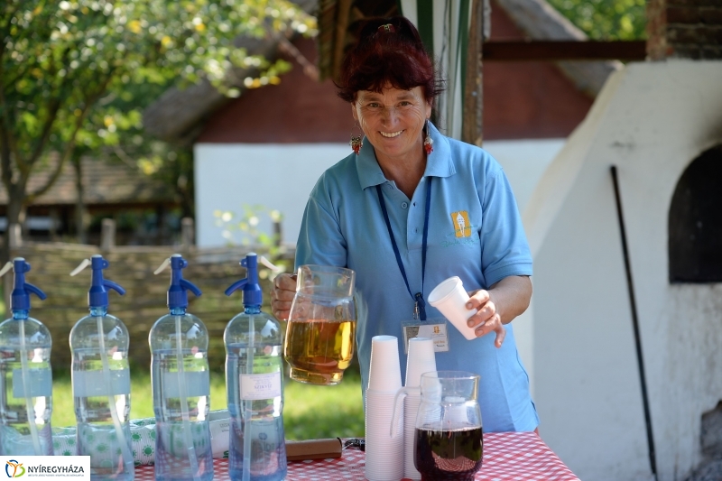 A Régi Magyarország Ízei-gasztronómiai fesztivál a múzeumfauban