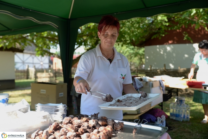 A Régi Magyarország Ízei-gasztronómiai fesztivál a múzeumfauban