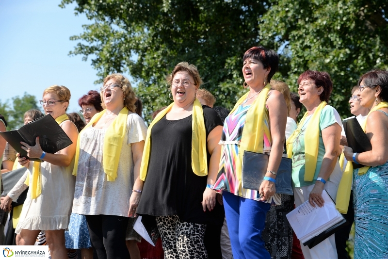 A Régi Magyarország Ízei-gasztronómiai fesztivál a múzeumfauban