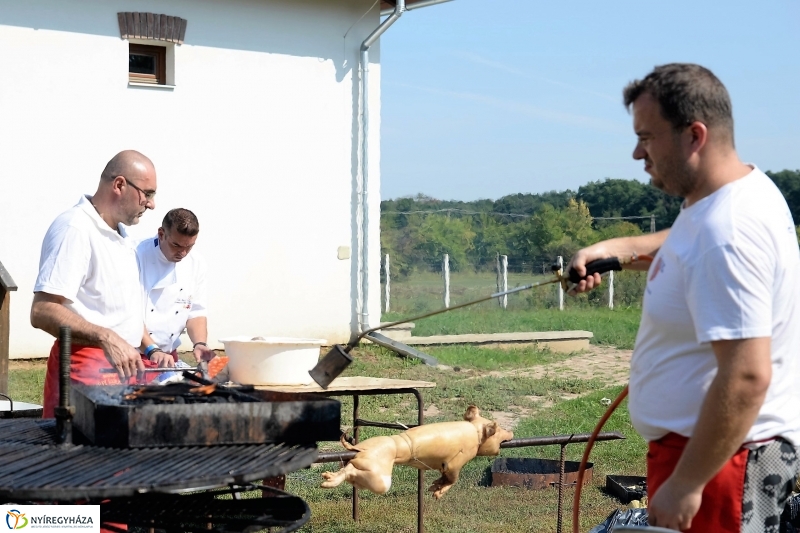 A Régi Magyarország Ízei-gasztronómiai fesztivál a múzeumfauban