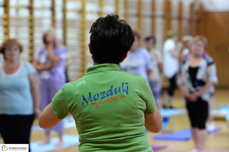 Mozdulj Nyíregyháza-Gerinctorna Sóstóhegyen