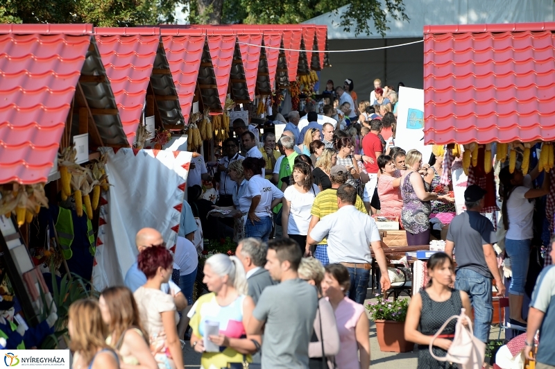 Közfoglalkoztatási Kiállítás és Vásár a Continentál Arénában