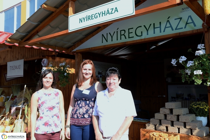 Közfoglalkoztatási Kiállítás és Vásár a Continentál Arénában