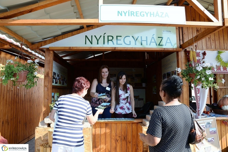 Közfoglalkoztatási Kiállítás és Vásár a Continentál Arénában