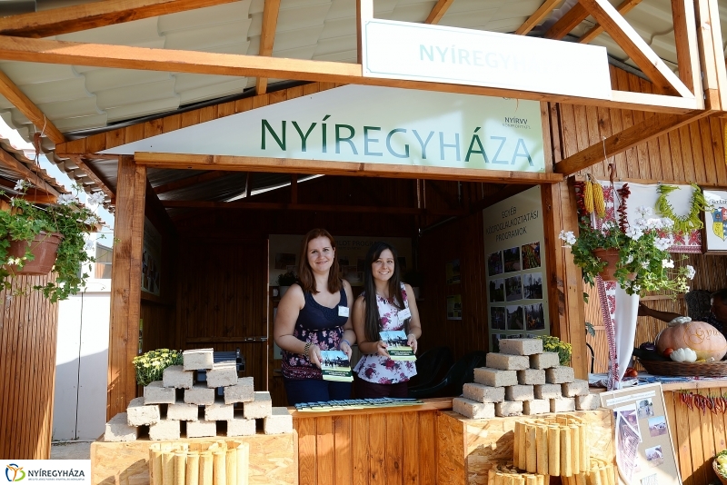 Közfoglalkoztatási Kiállítás és Vásár a Continentál Arénában