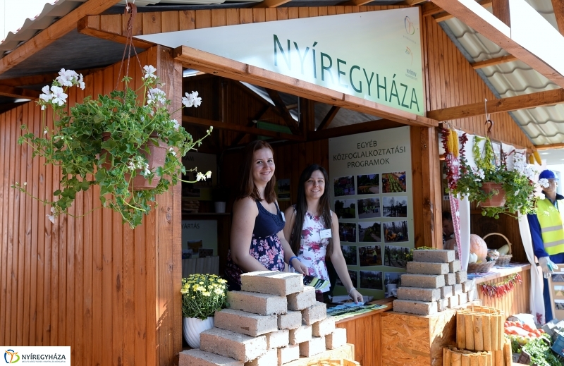 Közfoglalkoztatási Kiállítás és Vásár a Continentál Arénában