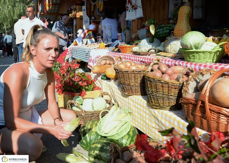 Közfoglalkoztatási Kiállítás és Vásár a Continentál Arénában